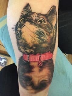 curious-cat-tattoo-by-josh-hibbard