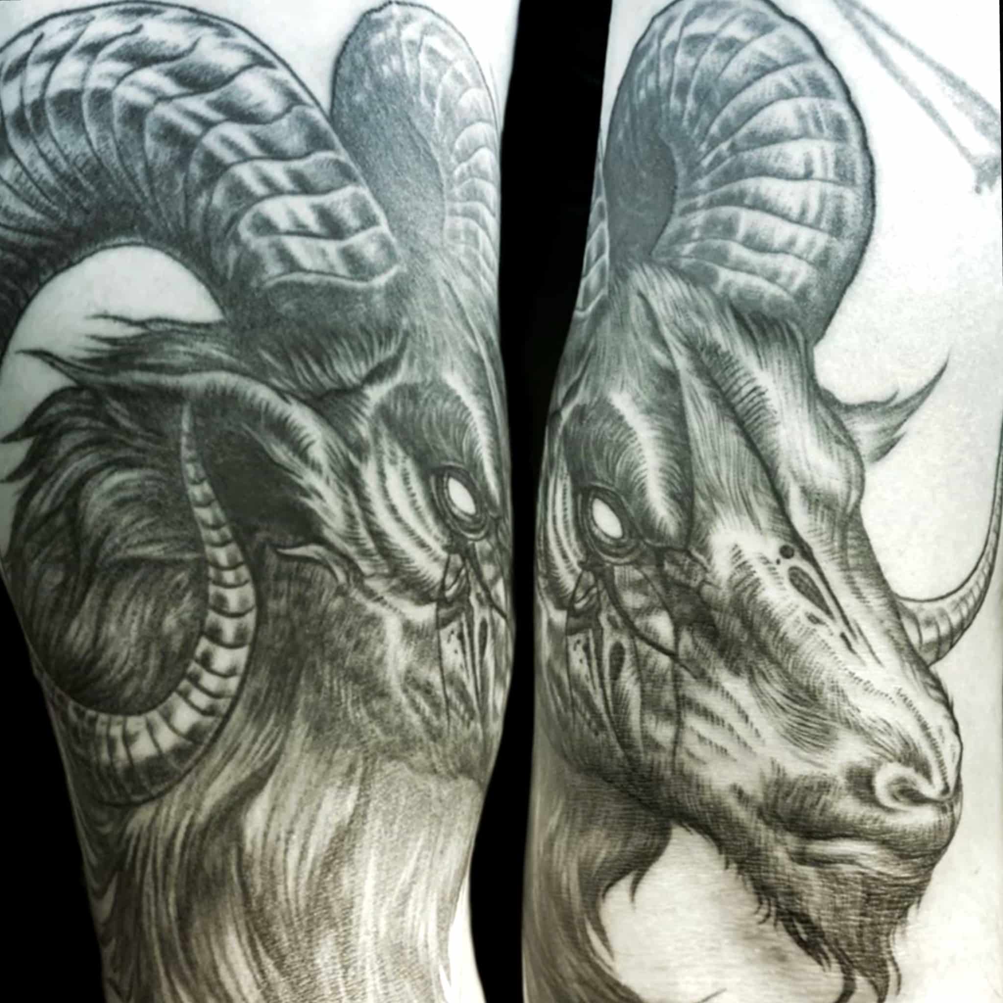 evil-ram-tattoo-by-josh-hibbard