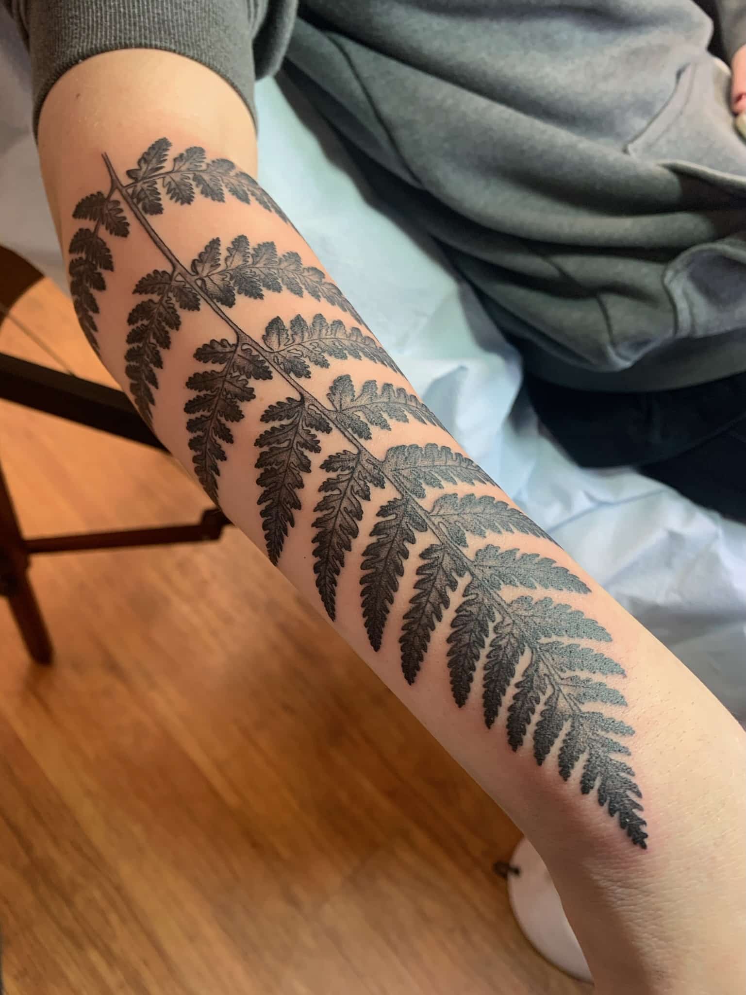 fern-leaf-tattoo-by-josh-hibbard