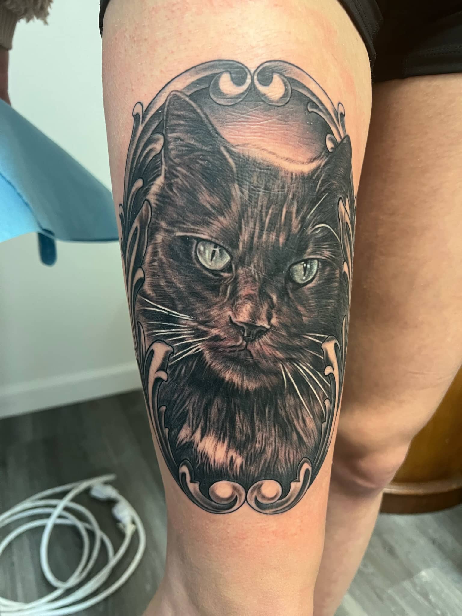 floral-framed-cat-tattoo-by-josh-hibbard