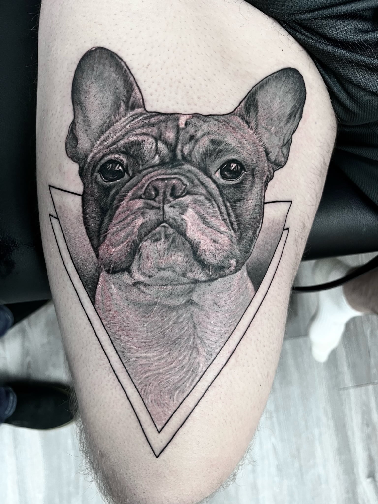 frenchie-geo-memorial-tattoo-by-josh-hibbard