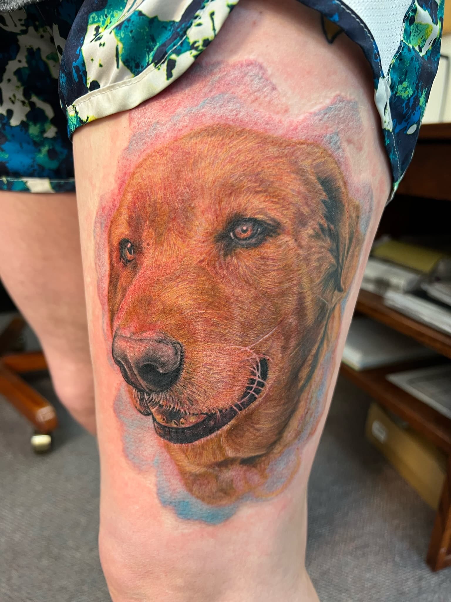 labrador-memorial-tattoo-by-josh-hibbard