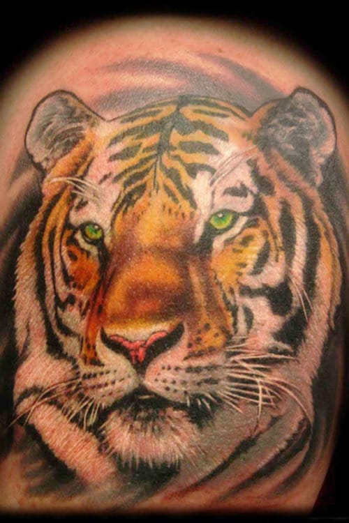 realistic-tiger-tattoo-by-josh-hibbard