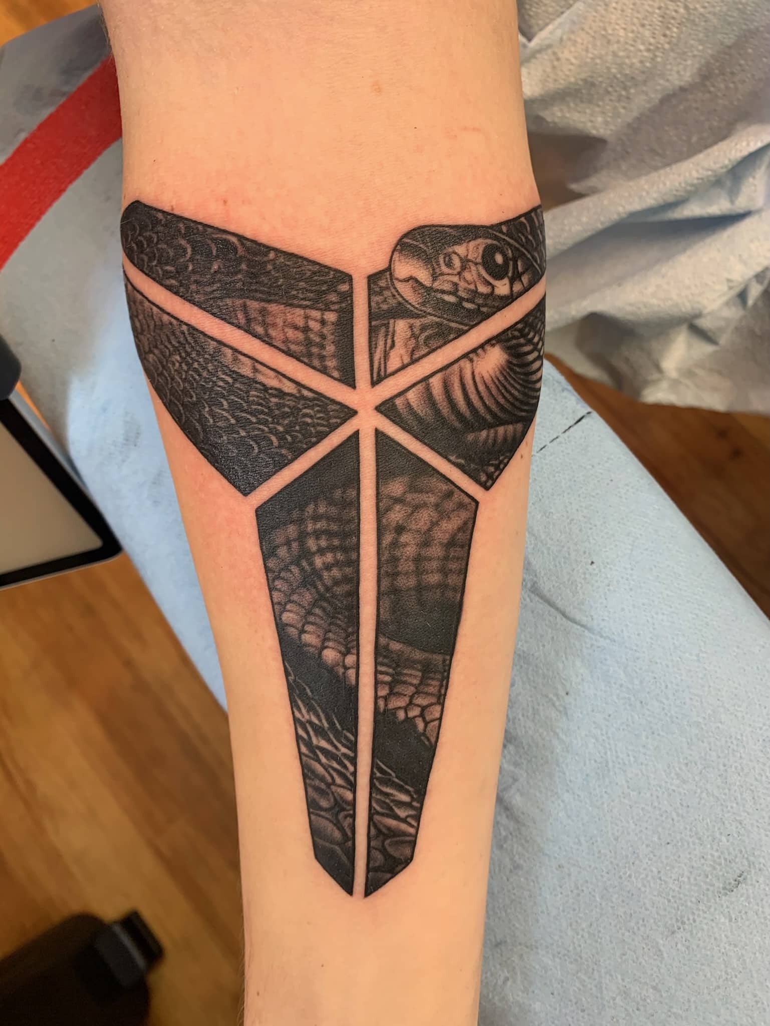 snake-geo-tattoo-by-josh-hibbard