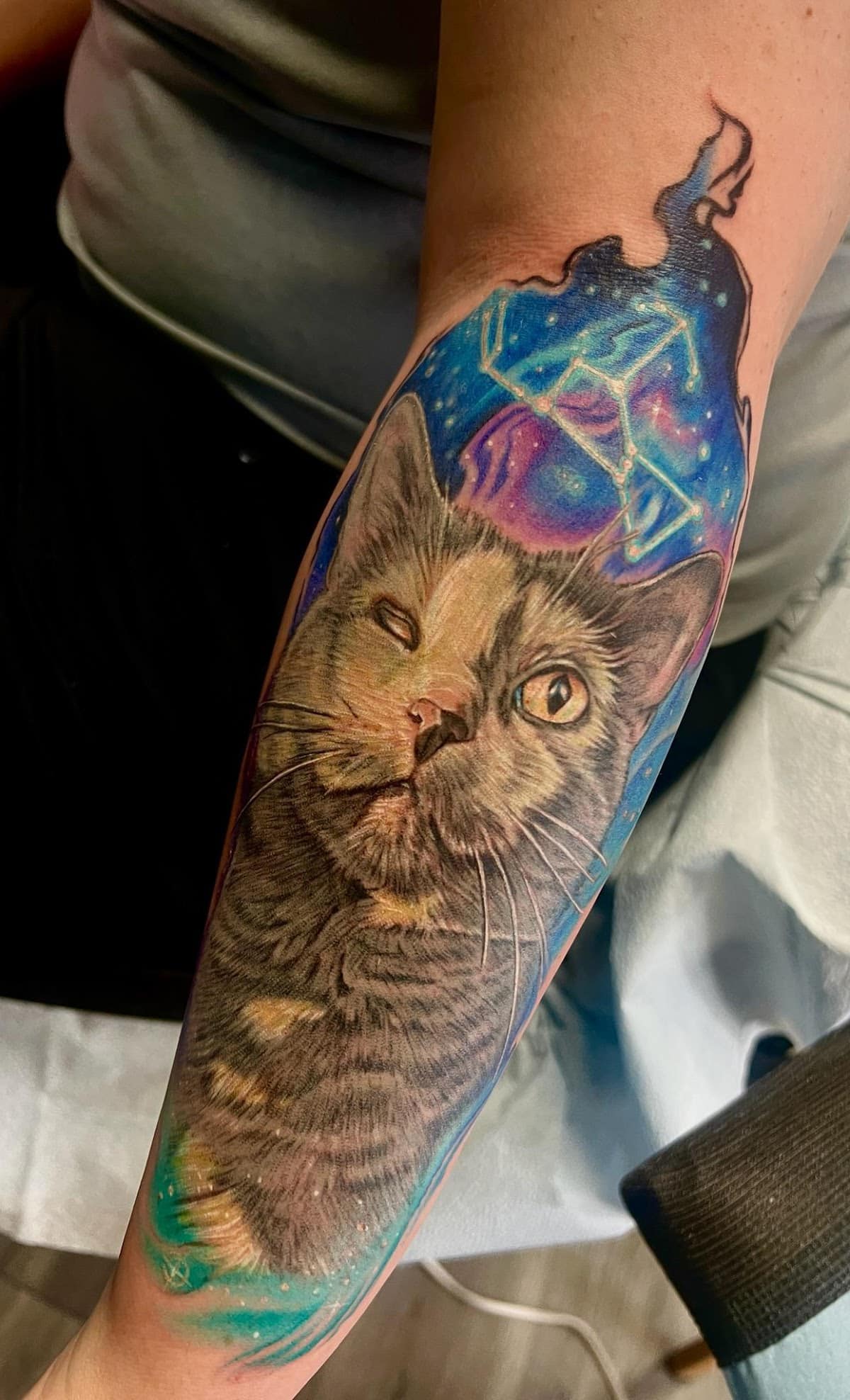 space-cat-memorial-tattoo-by-josh-hibbard